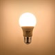 Bulb LED E27  7W A60 white warm RETLUX RLL 243
