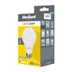 LED bulb E27 8W A60 REBEL white cold ZAR0516