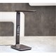Table lamp IMMAX Kingfisher 08930L