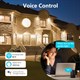 Smart LED spotlight IMMAX NEO 07809L 20W WiFi Tuya