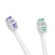 Toothbrush TEESA TSA8010 Sonic