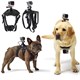 Camera holder 4L for dog
