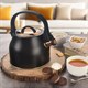 Teapot with whistle ORION Rose Gold 3l