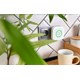 Smart gas detector SHELLY Gas CNG WiFi