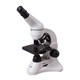 Microscope LEVENHUK RAINBOW 50L WHITE