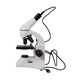 Microscope LEVENHUK RAINBOW D50L PLUS WHITE