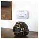Carbon monoxide detector EMOS GS827