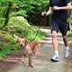 Vodítko pro psy TRIXIE na běhání