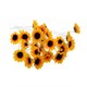 Vlásenka Sunflower 1 kus