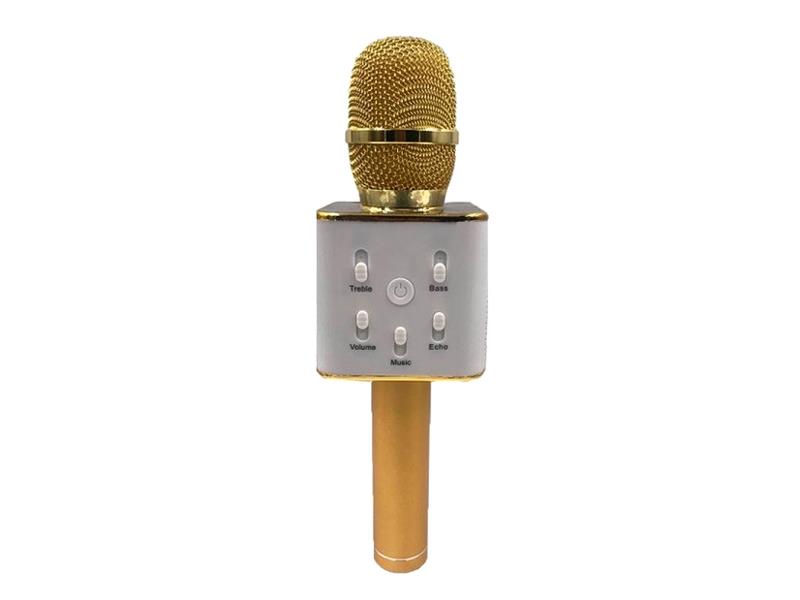 Dětský karaoke mikrofon TEDDIES 25 cm