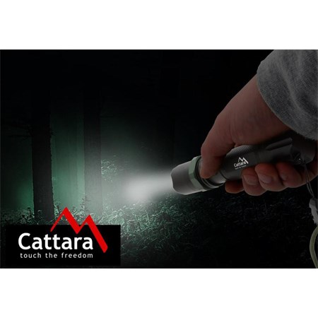 Svítilna CATTARA 13162 Zoom