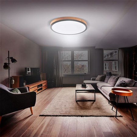 Ceiling lamp SOLIGHT WO805 40W