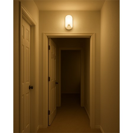 QTEC Q-180AD PIR wall light
