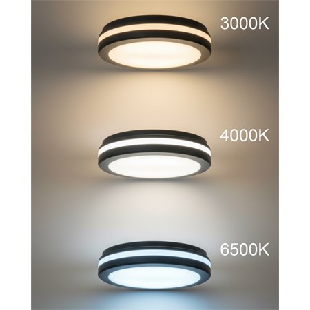 Ceiling lamp TRIXLINE TR-202NS 20W