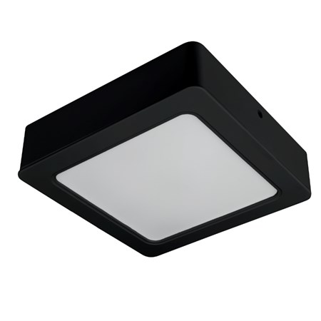Ceiling lamp DPM CL9-S-18W-B 18W