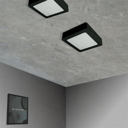 Ceiling lamp DPM CL9-S-18W-B 18W