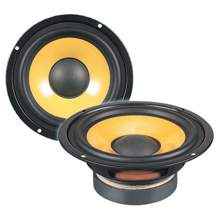 Loud-speaker JW170-4 yellow