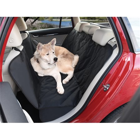 Dog blanket COMPASS 04131 Prime Ear in the car