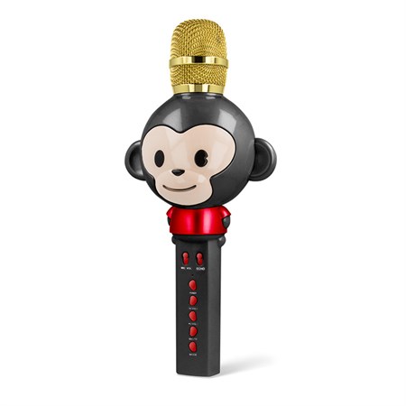 Dětský karaoke mikrofon FOREVER AM-100 Black