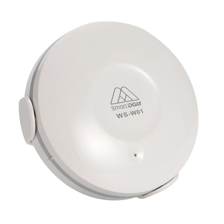 Water leak detector SmartDGM WS-W01 WIFI