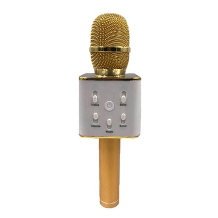 Children's karaoke microphone Teddies 25cm
