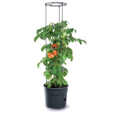 Kvetináč na pestovanie paradajok TOMATO GROWER antracit 29,5cm