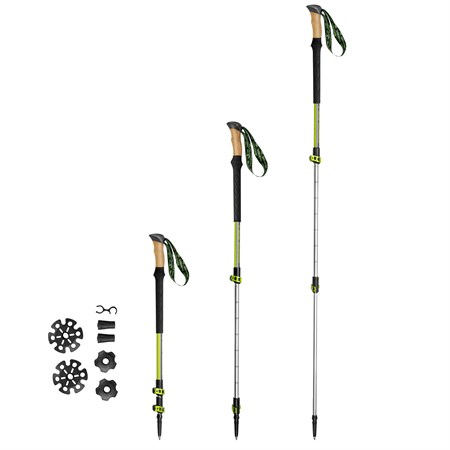 Trekking poles SPOKEY COMPASS 1 pair with accessories green-silver