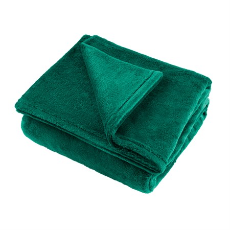 Blanket TEESA TSA8902-2 Green 200x220cm