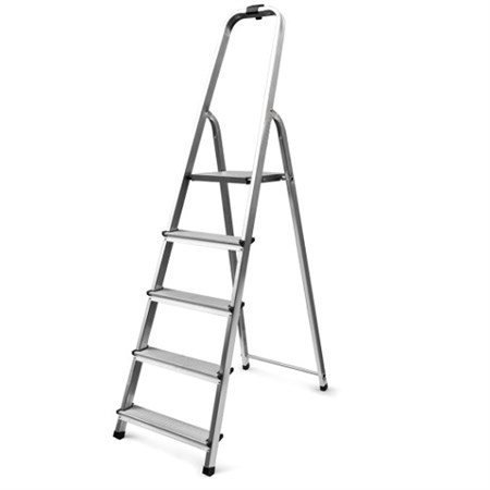Ladder TES TM251381 5 steps