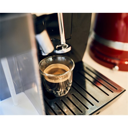 Coffee descaler FILTER LOGIC CFL-695 500ml