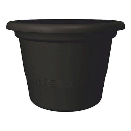 Flowerpot Campanula anthracite 17cm