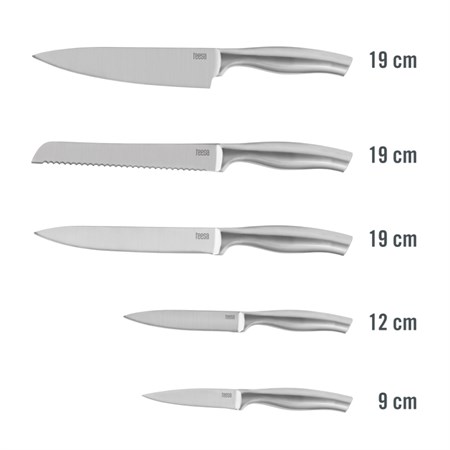 Set of knives TEESA TSA0204 5pcs