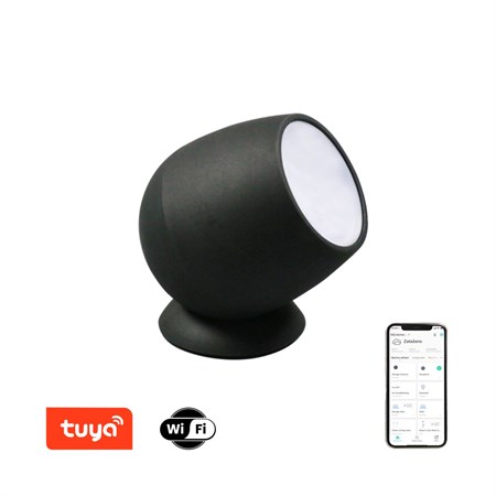 Smart LED lamp IMMAX NEO Atmosphere 07739L WiFi Tuya