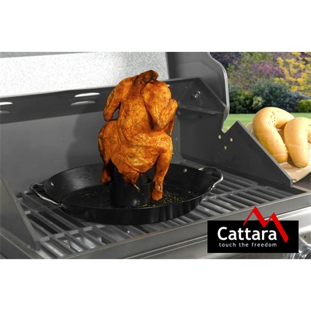 Grilling pan on chicken CATTARA 13119