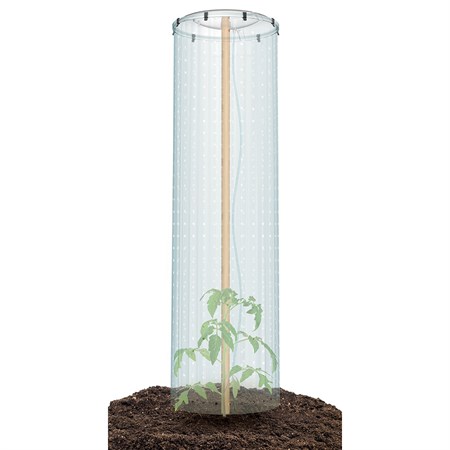 Set for growing tomatoes TOMATO GROWER CAP 38.5cm
