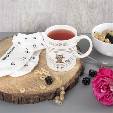 Gift mug with socks ORION Infinite love - cat 0.35l