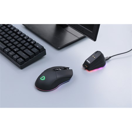 Wireless mouse DAREU EM901X