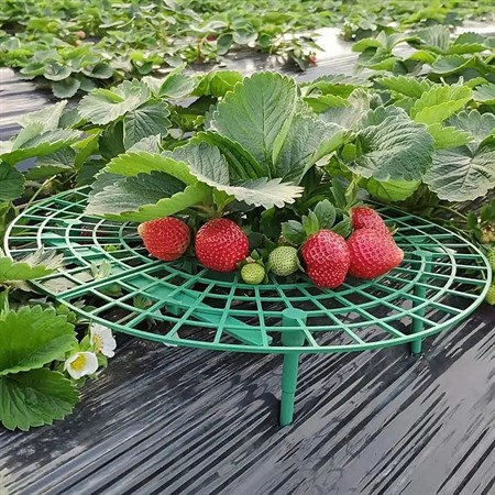 Strawberry mat TES SL2171471X 5 pcs