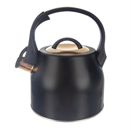 Teapot with whistle ORION Rose Gold 3l