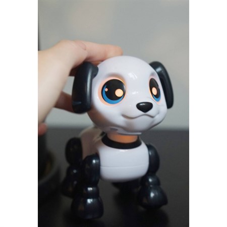 Robot Heads Up Puppy