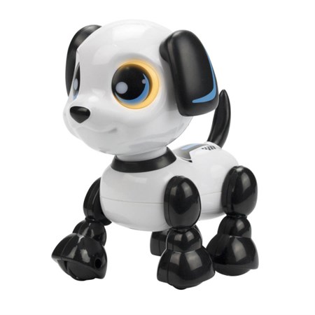 Robot Heads Up Puppy