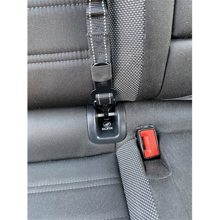 Car seat belt for dog SIXTOL SX1045