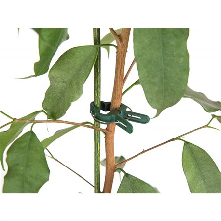 Plant clips HAPPY GREEN 4x2.6cm 25pcs