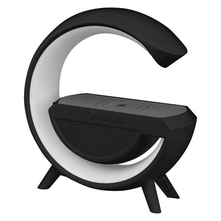 DPM DTL301B Bluetooth Speaker with Wireless Charging