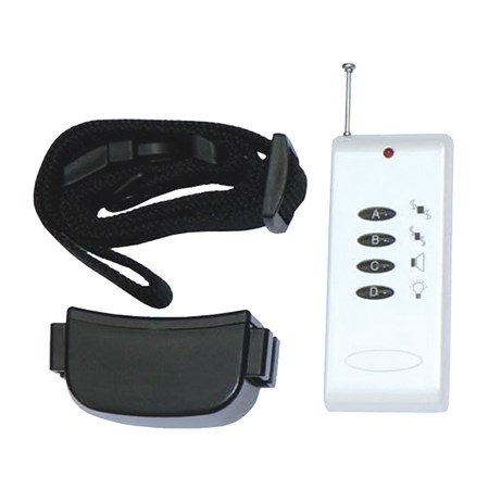 Electronic collar DOG CONTROL T01 2in1
