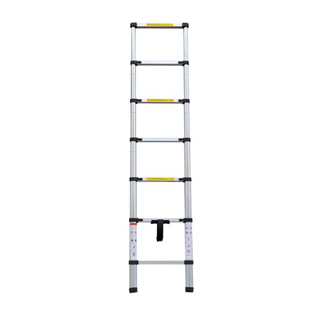 Aluminum ladder G21 GA-TZ7-2m telescopic