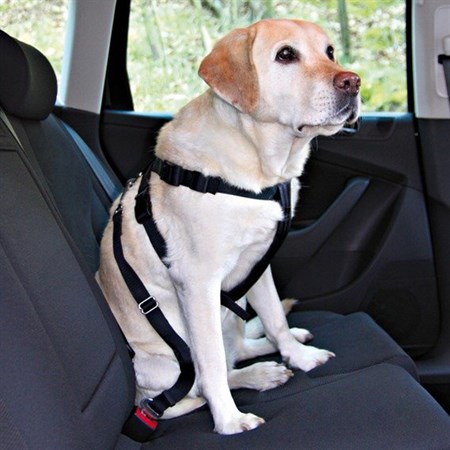 Car harness for dog TRIXIE M 50 - 70 cm