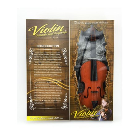 Violin child TEDDIES