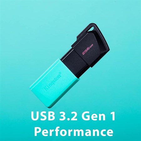 Flash disk KINGSTON Datatravel Exodia M USB 3.2 Gen 1 256GB
