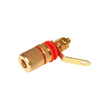 Banana speaker plug gold red